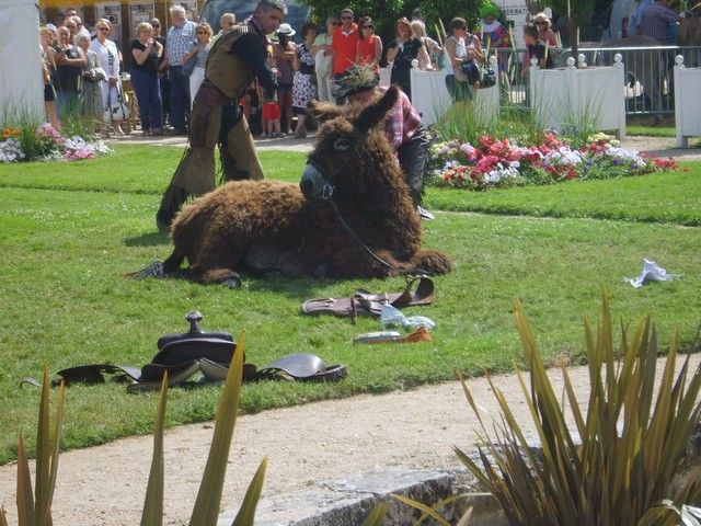 fete 2016 (73).jpg